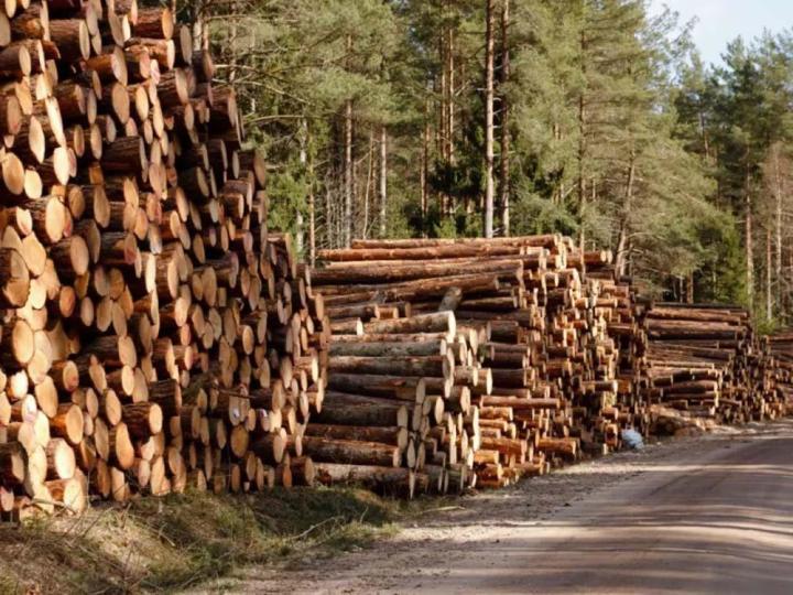 Livraison de bois de chauffage, Tartas
