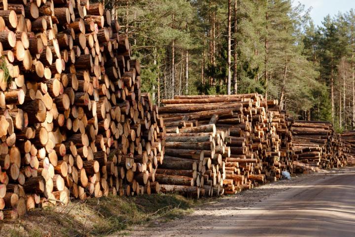 Vente de bûches Landes