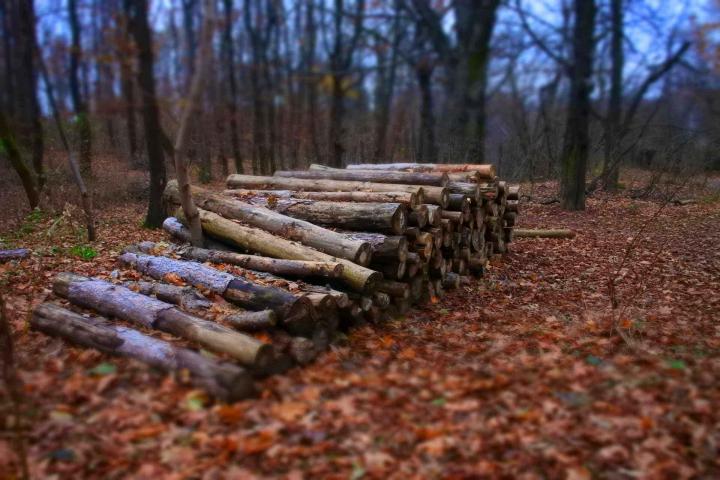 Un service de livraison de bois de chauffage rapide