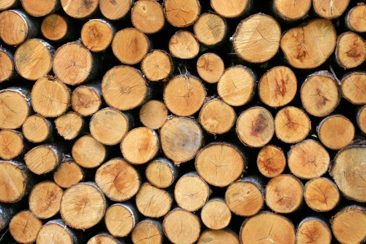 Livraison de bois de chauffage fiable Landes