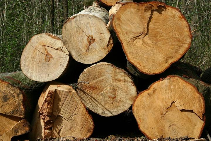 Vente de bûches Landes