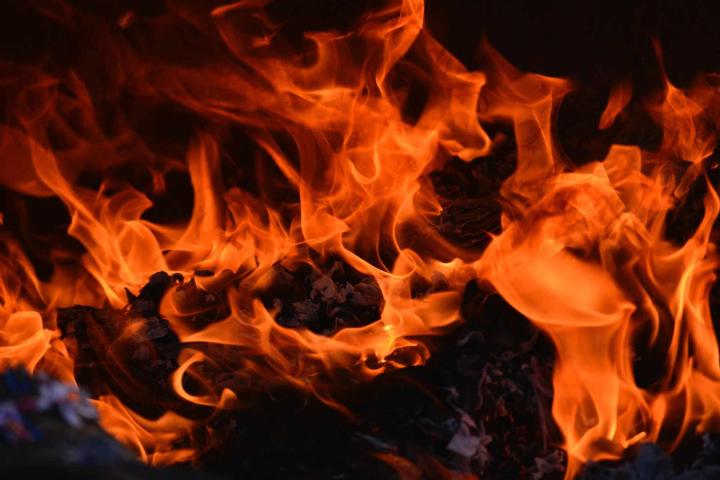 Vente de bois de chauffage de chêne Landes