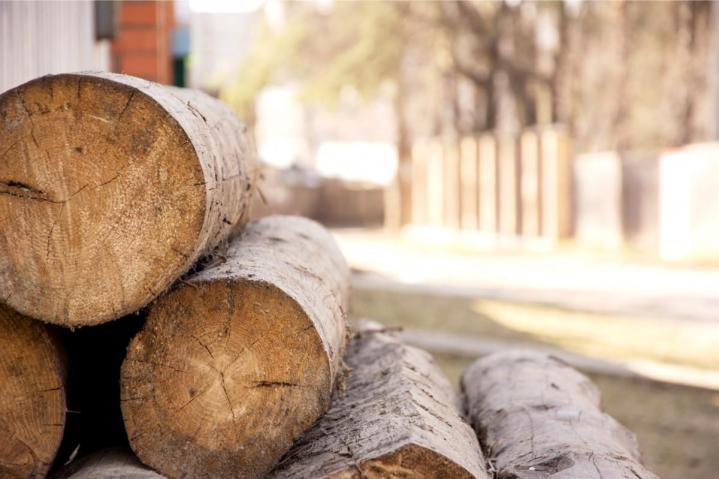 Vente de bois de chauffage de chêne Landes