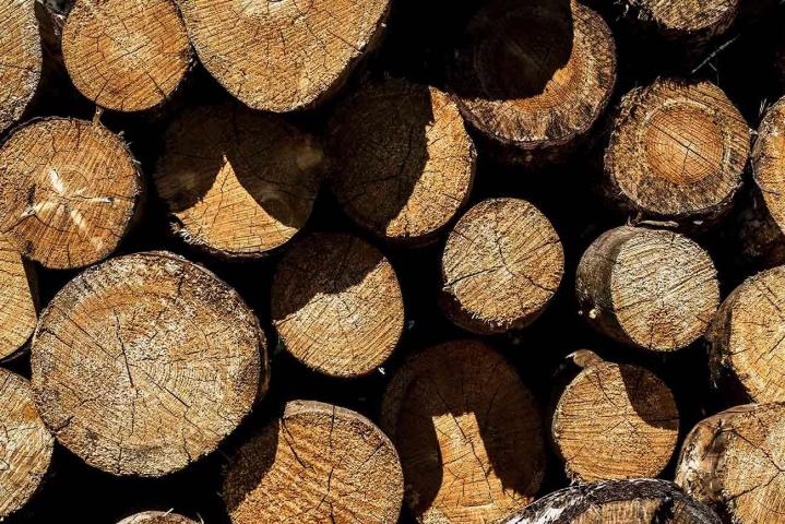 Vente de bois de chauffage, Saint-Vincent-de-Tyrosse